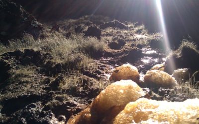 GNetyua111.217.51.322